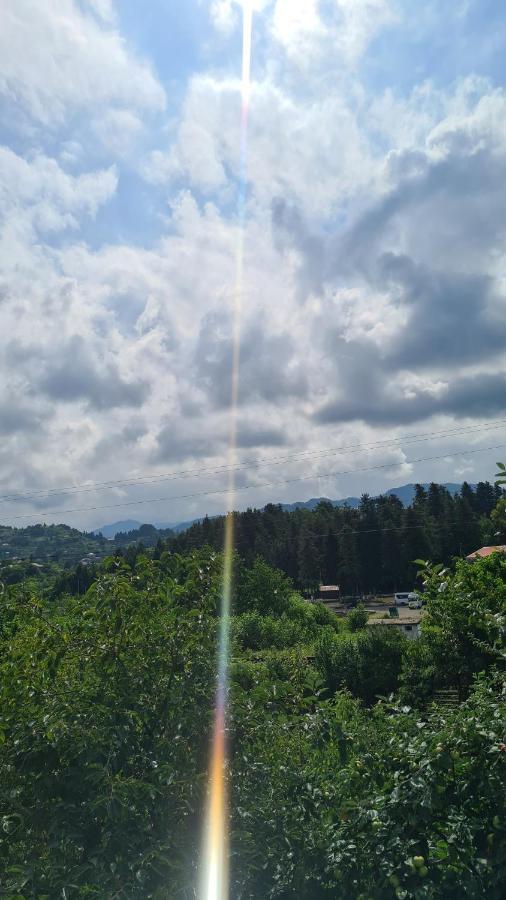 Gios Guest House Chakvi Dış mekan fotoğraf