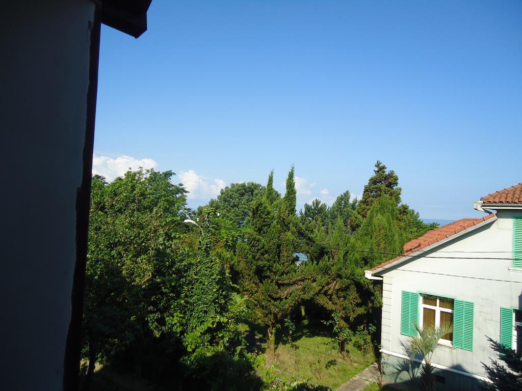 Gios Guest House Chakvi Oda fotoğraf
